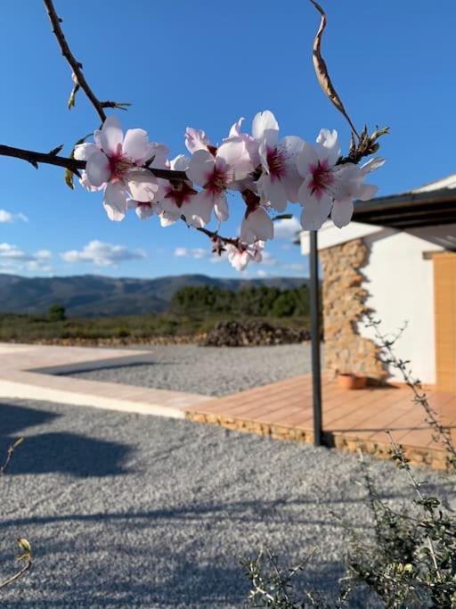 La Llobatera Casa Rural Les Coves de Vinroma المظهر الخارجي الصورة
